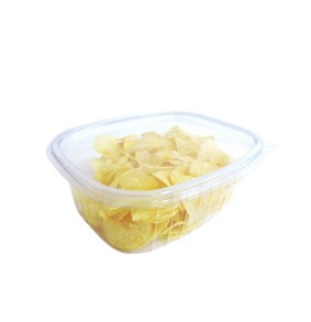 Terrina com tampa dobradiça 2000 CC PET